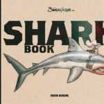 Shark Book, que vous avez de grandes dents