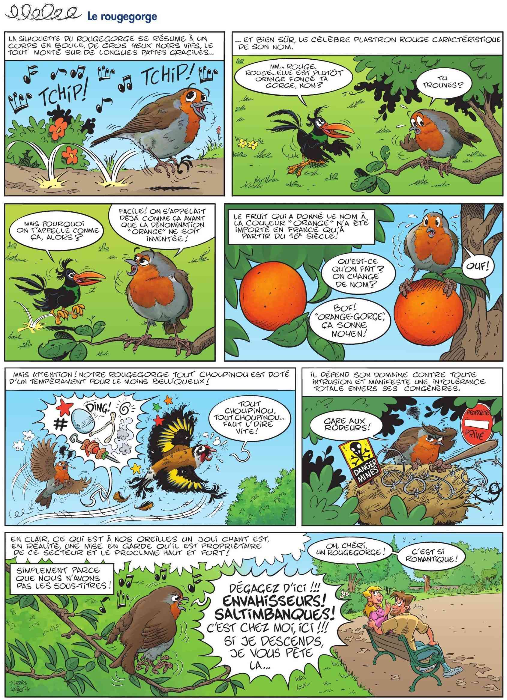 Vos BD préférées - Page 7 Les-Oiseaux-en-bande-dessinee