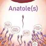 Anatole(s), à la vie à la mort