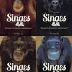 Singes