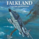 Falkland, la guerre des Malouines inutile et politique