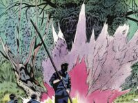 Le Lierre et l'Araignée