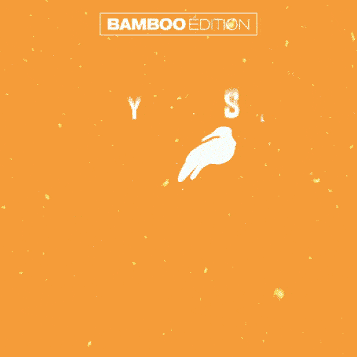 Bamboo Bonne année 2024 !