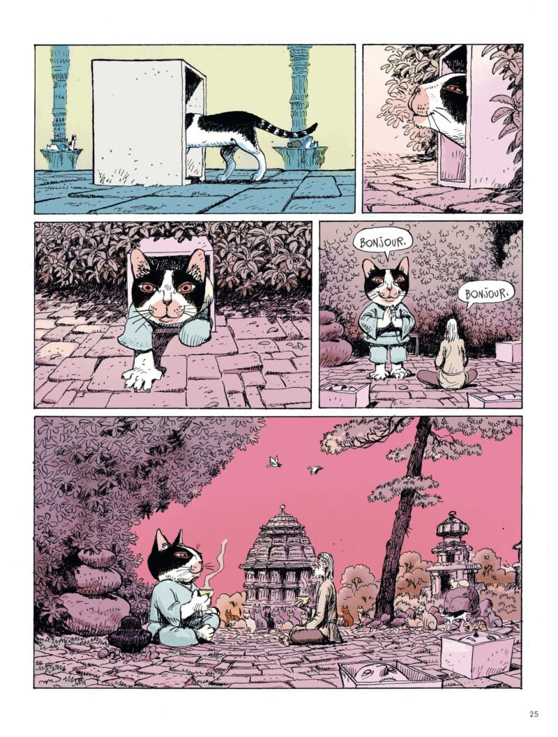 Chat-mane de Grégory Panaccione