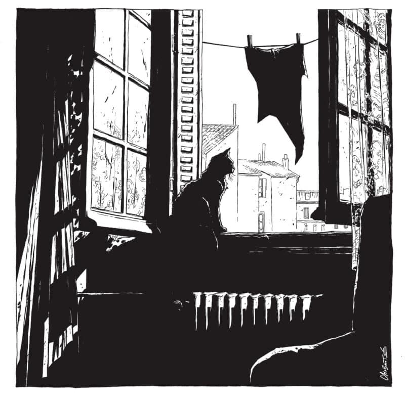 Les Chats de Christophe Chabouté